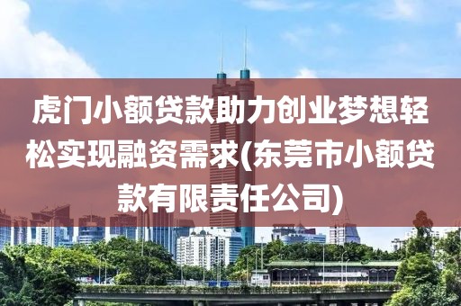 虎门小额贷款助力创业梦想轻松实现融资需求(东莞市小额贷款有限责任公司)