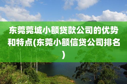 东莞莞城小额贷款公司的优势和特点(东莞小额信贷公司排名)