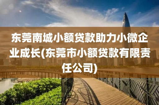 东莞南城小额贷款助力小微企业成长(东莞市小额贷款有限责任公司)