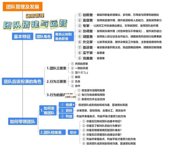 企业注册后的团队建设与管理策略(注册团队组织需要什么)